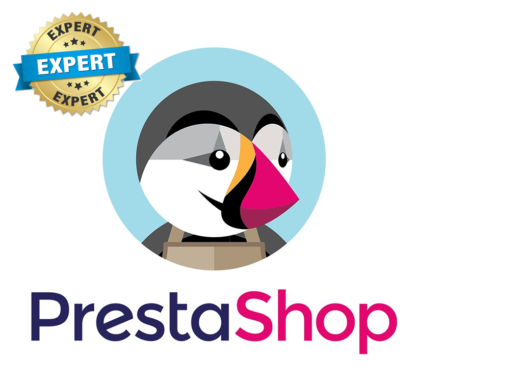 Expert PrestaShop freelance en Gironde et Dordogne - Sylvain Bayet