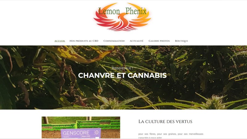 Site Lemon Phenix